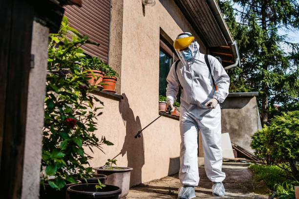 Best Termite Control Services  in Moodys, OK