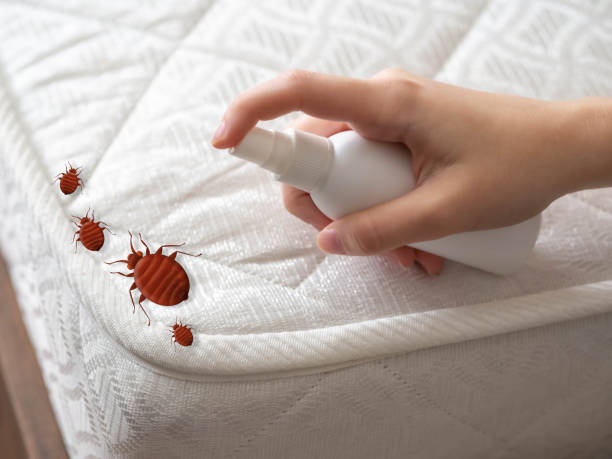 Best Termite Control Services  in Moodys, OK